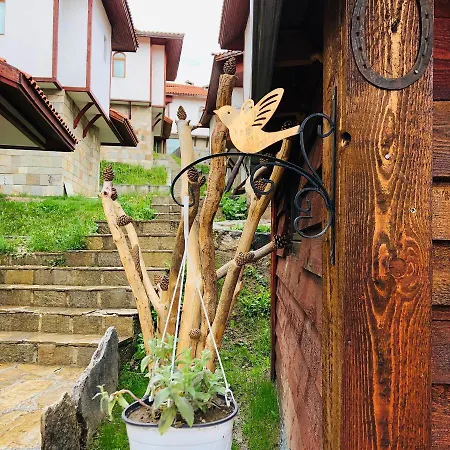 Vilă Pamporovo Villa *