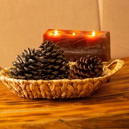 ヴィラ Pamporovo Villa パンポロボ